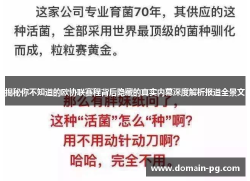 揭秘你不知道的欧协联赛程背后隐藏的真实内幕深度解析报道全景文