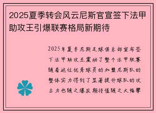 2025夏季转会风云尼斯官宣签下法甲助攻王引爆联赛格局新期待 2025夏季转会风云尼斯官宣签下法甲助攻王引爆联赛格局新期待