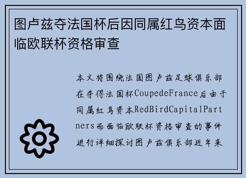 图卢兹夺法国杯后因同属红鸟资本面临欧联杯资格审查 图卢兹夺法国杯后因同属红鸟资本面临欧联杯资格审查